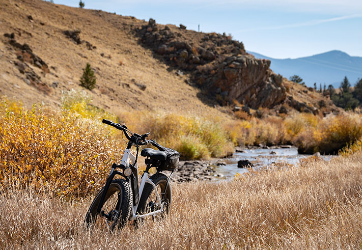 electric bicycle durability