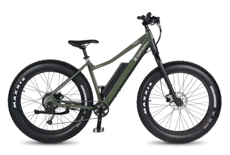https://ebikes.org/wp-content/uploads/2023/03/surface604-boar-explorer.webp