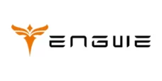 Engwe Bikes logo