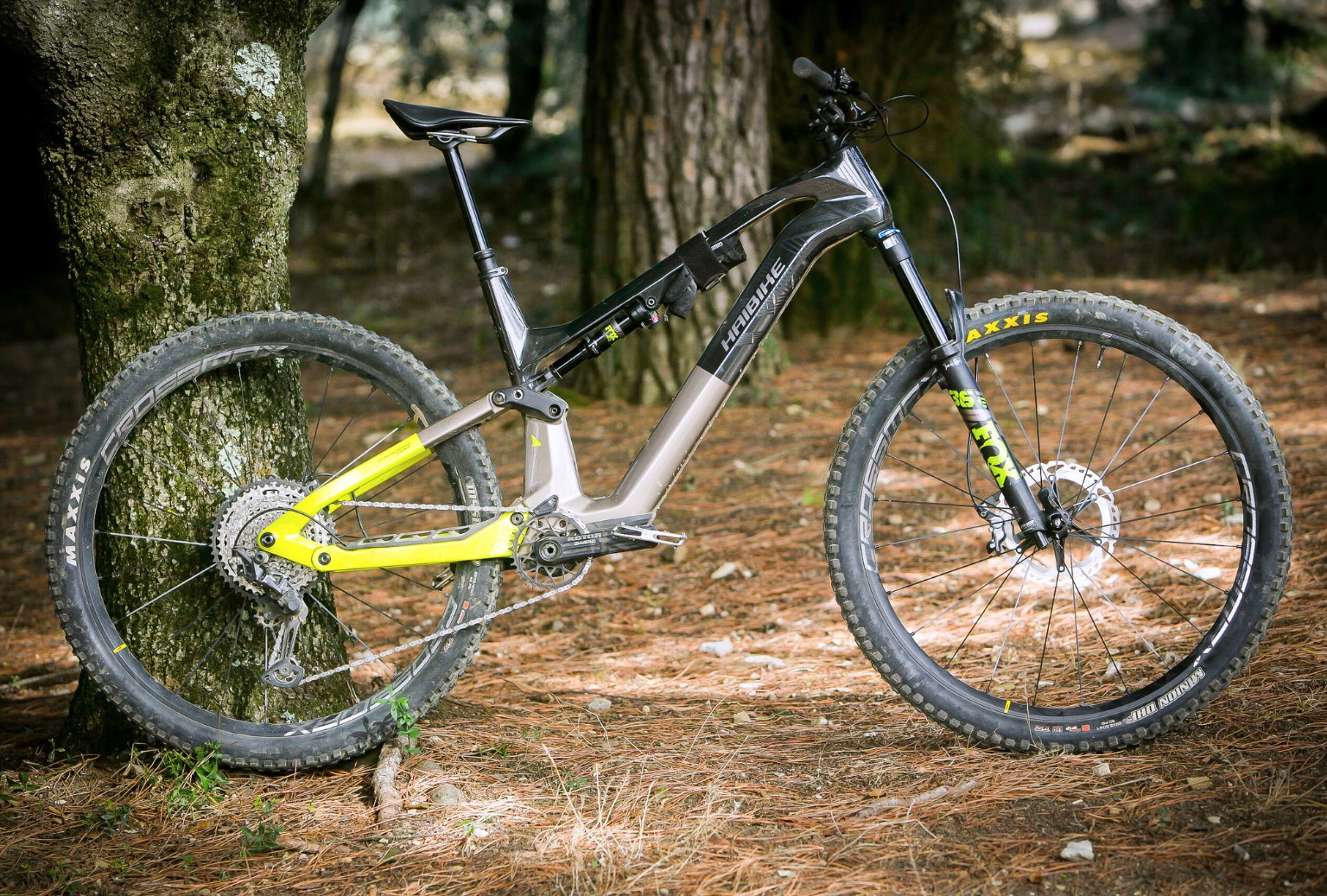 electricbikeaction.com