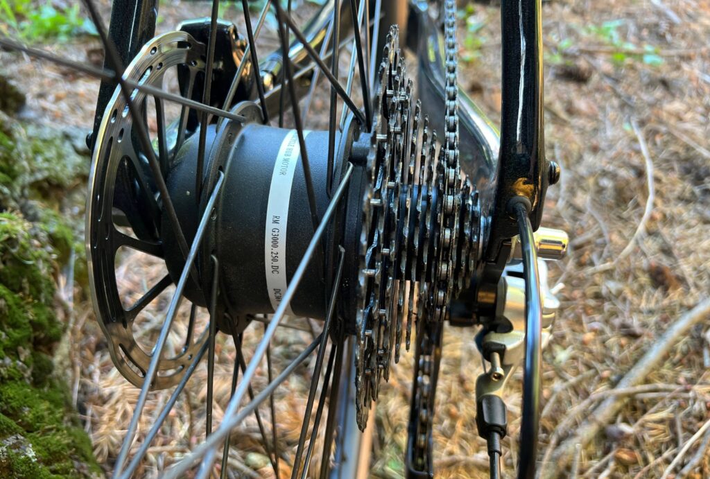 Close-up of Rear hub motor